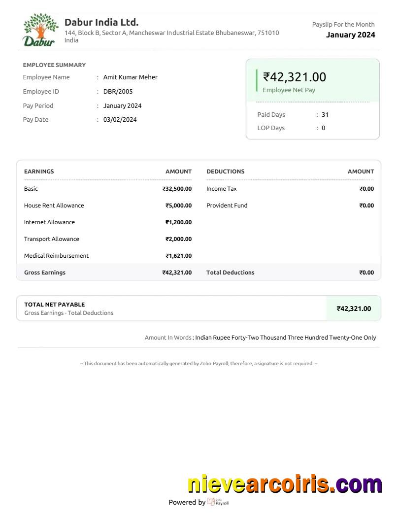 Dabur India goods company payslip